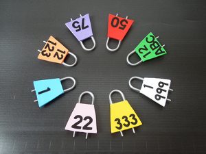 Boc-Loc Tag Numbered - Image 2
