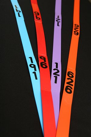 Neck Strap - Numbered - Image 6
