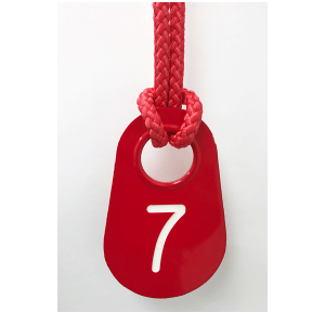 Pear Tags - Numbered